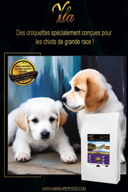 YLA_croquettes_speciales_grande_race_chiot